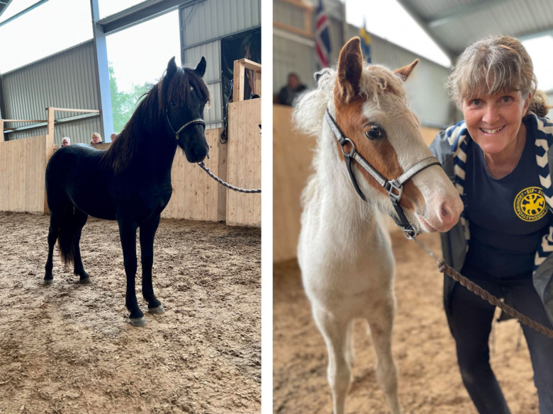Stofölet Védis från Granmyra blev Best in show