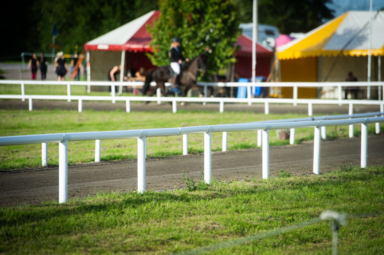 GK-SM – det händer under söndagen