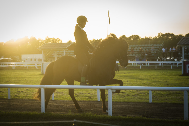 GK-SM – det händer under fredagen