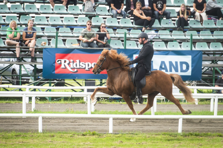 GK-SM: ”Det är riktigt bra hästar med så allting kan hända”