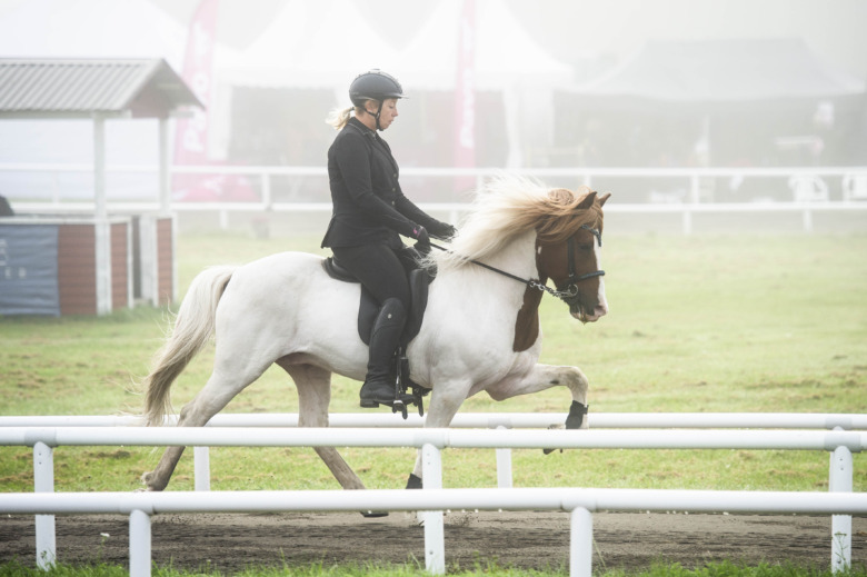 Bildextra från uttagningen i a-flokk