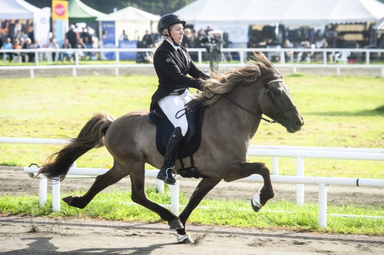GK-SM: Spännande ryttarbyten inför finaldagen