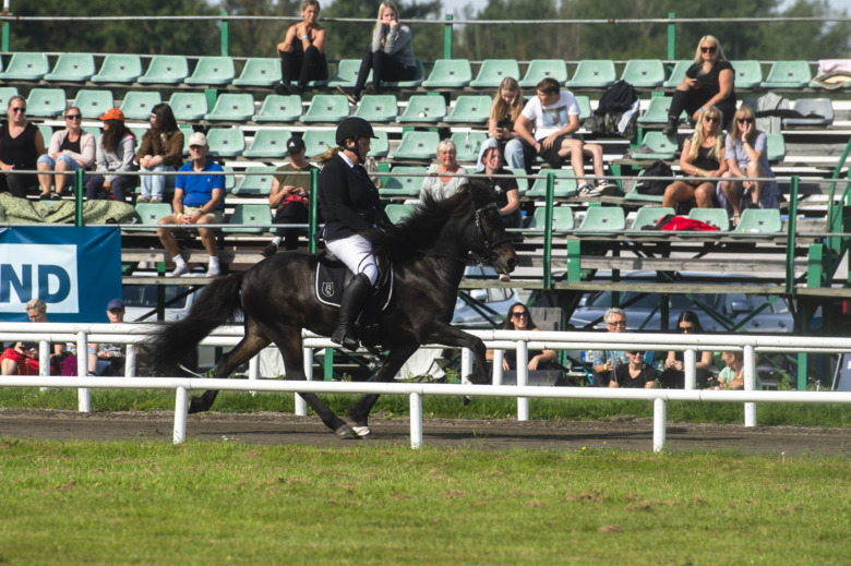 Skogsturer och tömkörning håller Bruni i form