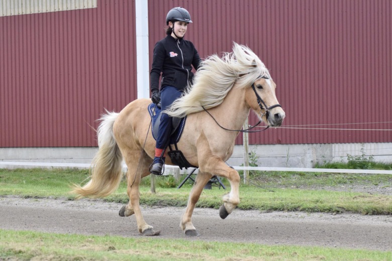 Bildfest: Höga poäng vid Vinirs klubbmästerskap