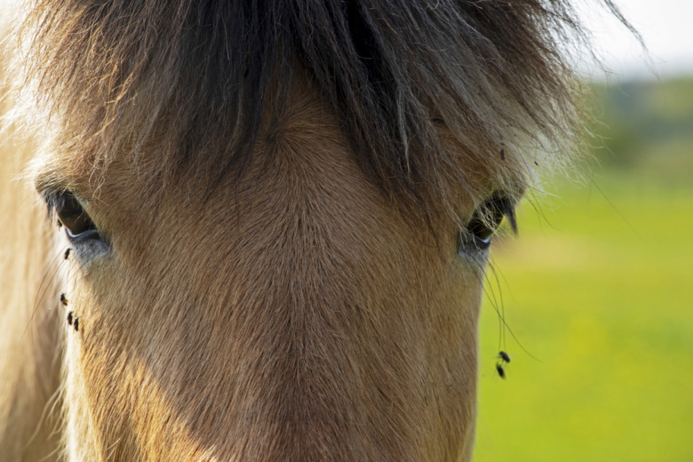 Magmask kan orsaka svårläkta sår