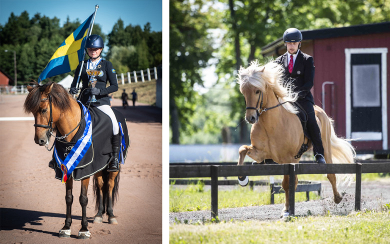 Fina placeringar för svenska ryttare på hedervärd lista
