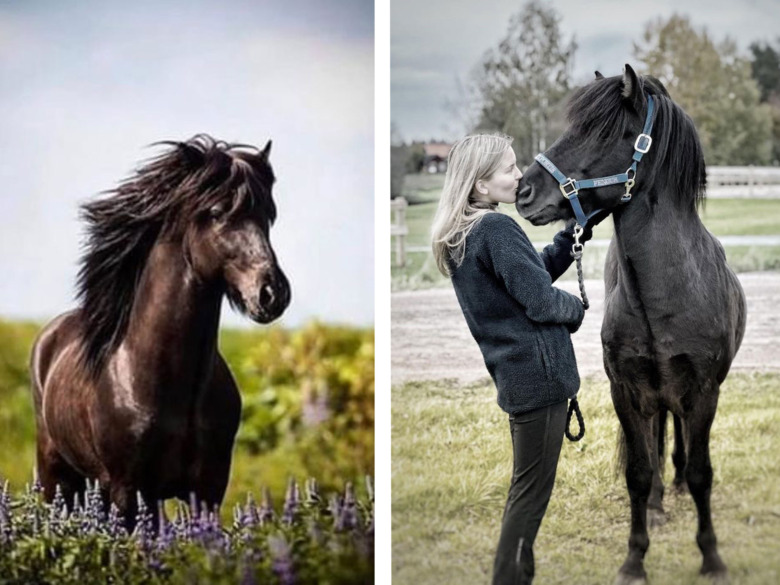 Milly Jäderström satsar mot V1 med välmeriterat nyförvärv