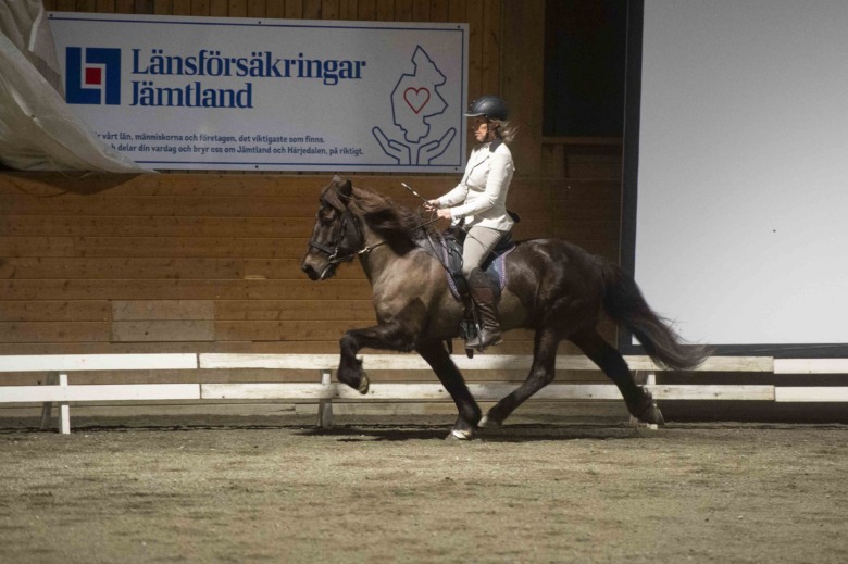 Snart kan Sverige ha sina första gæðingalistdomare