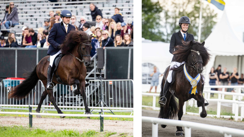 Delad förstaplats bland svenskfödda 6-åringarna