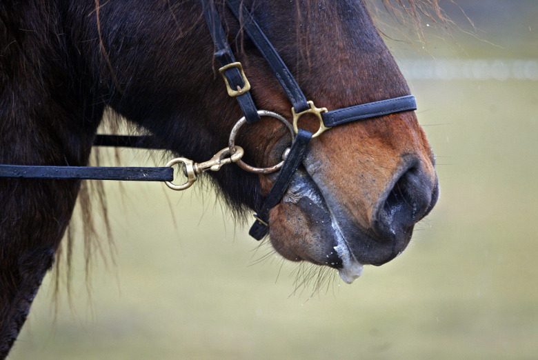 Spänning i tyglarna kan minskas till hälften