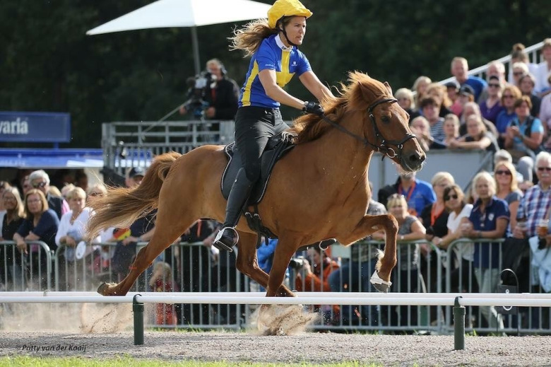 Åsa Nevander Holmén: Ingredienser i passträning
