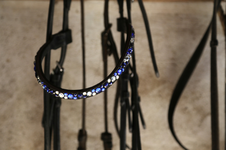 Tyskland inför hästkörkort på tävlingar