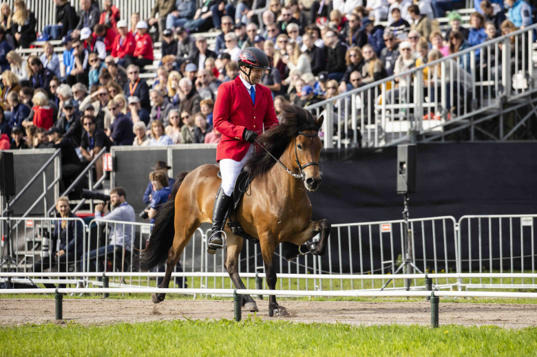 VM-hingstar präglade danska avelsframgångar 2023