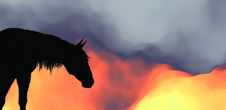 Stallbränder: Stora krav på drabbade