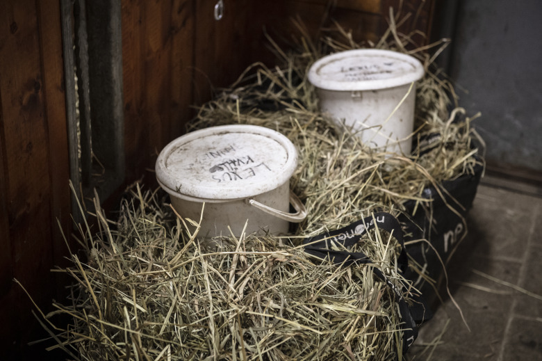 Foderguide: Så tänker du kring protein