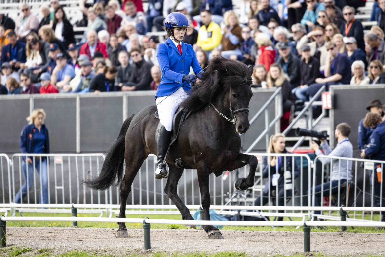 Avelsåret 2023: Isländska aveln fortsatte skörda guld