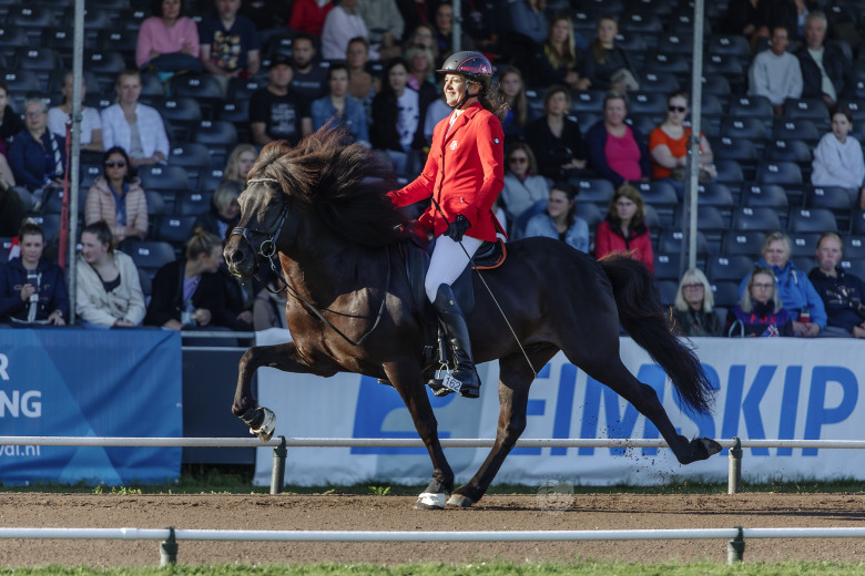Schweiziska landslagsryttaren om hästvälfärd