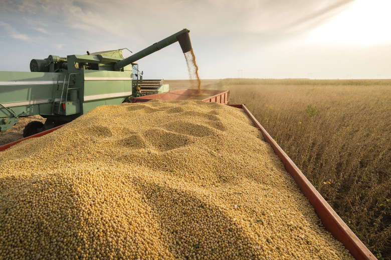 Att fodra med soja kostar – för klimatet