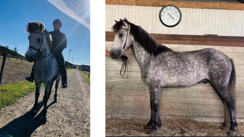 Historien bakom namnet Justin Timberlake frá Hvammi