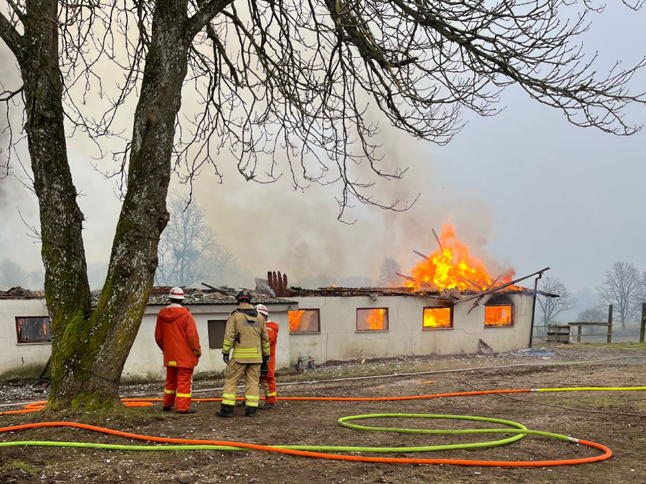 Mattias förlorade en islandshäst i branden i Brösarp: ”Skrek rakt ut”