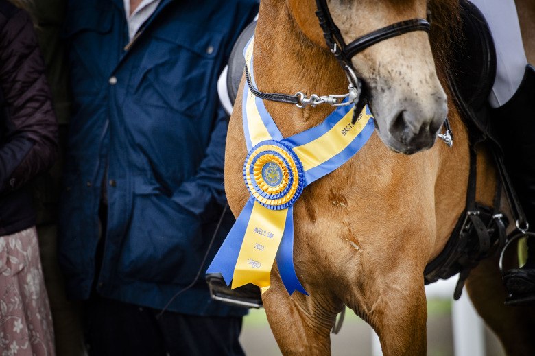 Avelsåret 2024: Nytt koncept testas i Skåne