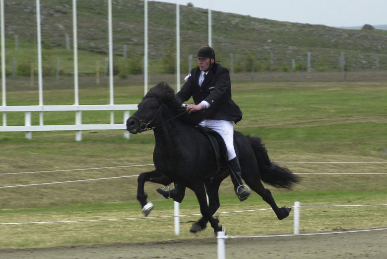 Tidigare Landsmótvinnare död