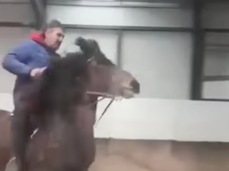 Mest läst 2024: Oetiska träningsmetoder i isländsk produktion