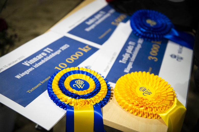 Wångens islandshästdagar tillbaka i höst