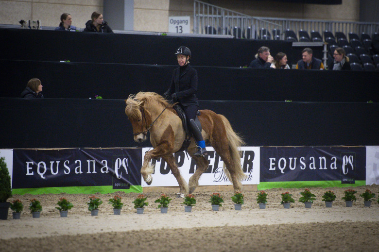 Svensk start på internationella passchampionatet