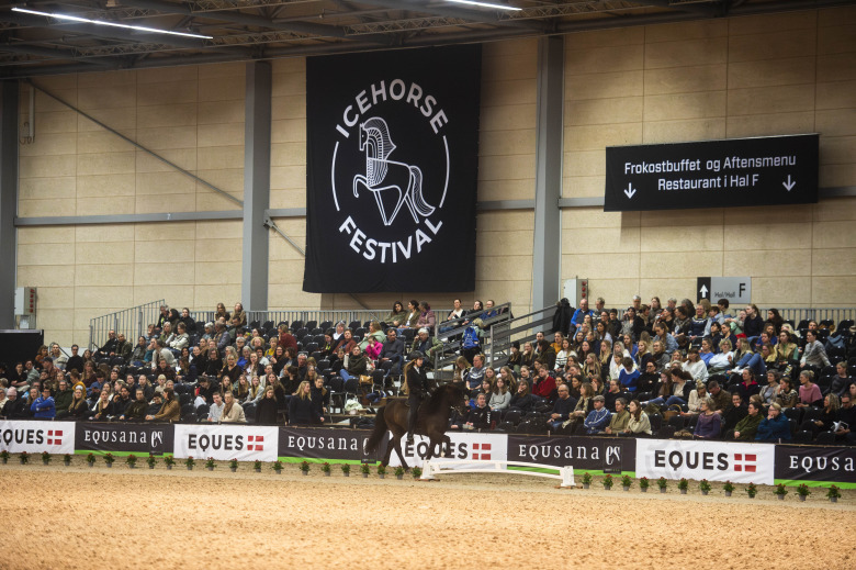 Kolla klippet: Bakom kulisserna på Icehorse Festival