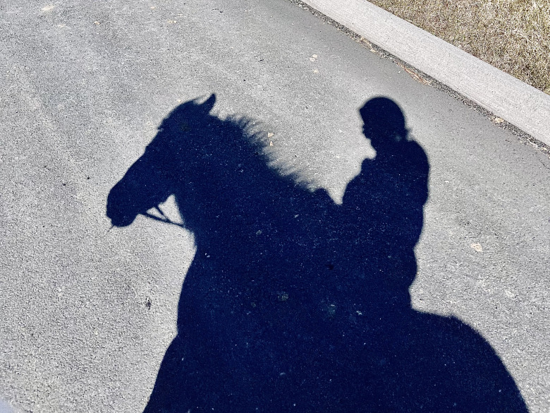 Ridskola inför viktgräns efter ryggproblem hos hästar