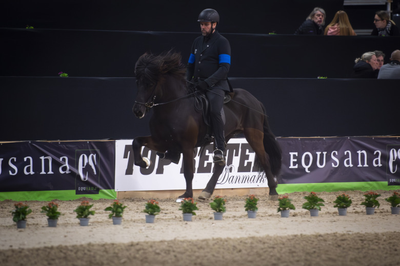 Dubbelt svenskt in i a-final i Danmark