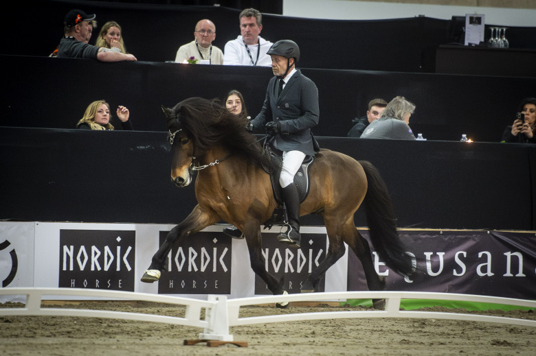 Alla danska mästare 2024