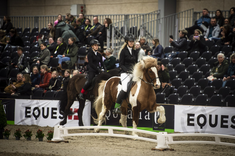 Edvardsson bästa svensk i T3 på Icehorse Festival