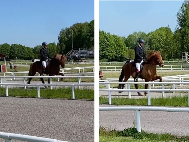 ”Energin och engagemanget är tillbaka”