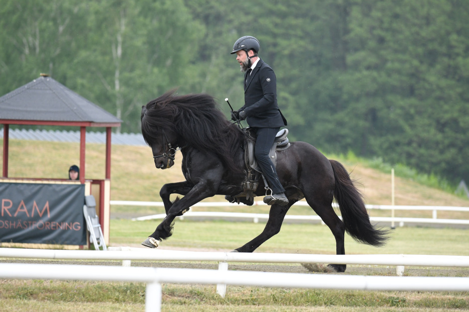 Allt du behöver veta inför VM i avel