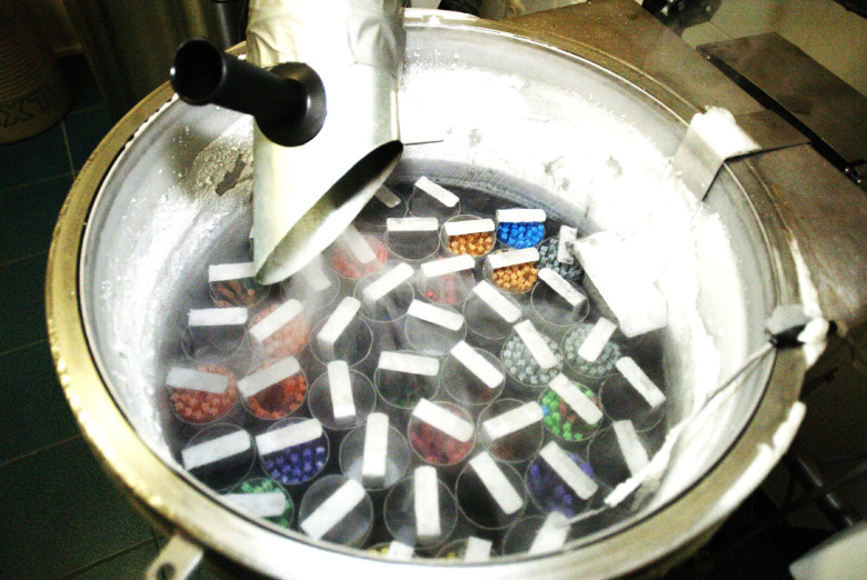 Svenska avelsledaren: ”Så kan det påverka svensk avel”