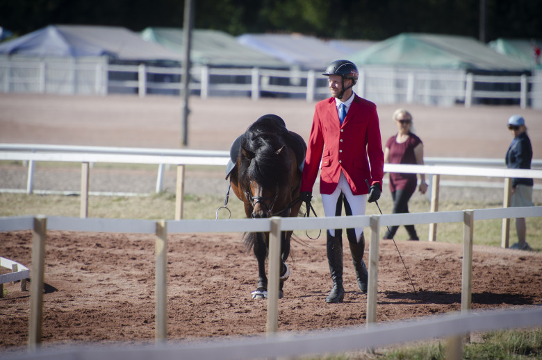 Dansk mästerskapshäst skadad