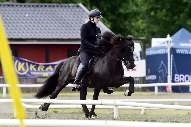 Så här ser det finska landslaget till NM ut