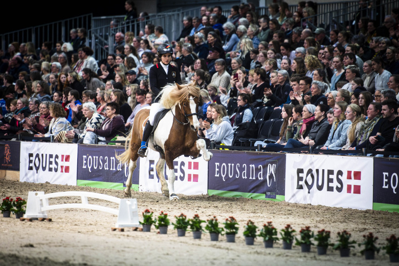 Framgångsrikt sto pensioneras från sporten