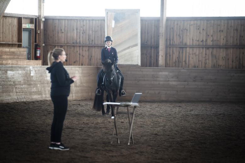 Välbesökt gæðingalistclinic på Stenholmen