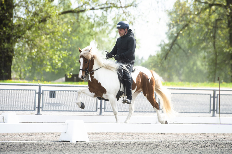 ”Det var en häst som egentligen bara travade hela sin uppväxt”