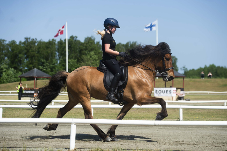 VM-häst högst bedömda sto på Margaretehof
