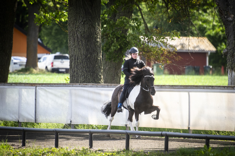 Bildextra: Fredag på ÖSM