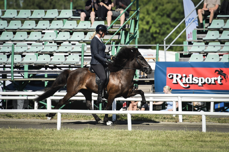 Från Boden till Sport-SM på Himmelstalund