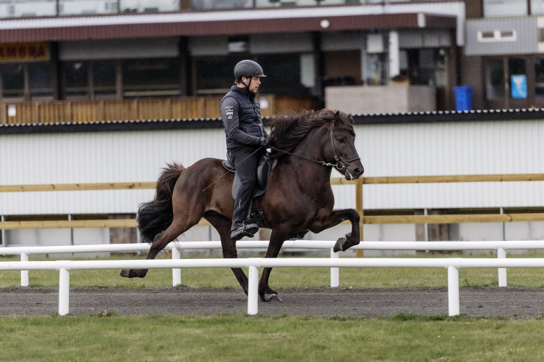 Dýrðlingur – utropstecknet på Axevalla