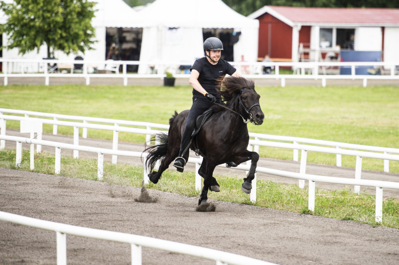 ”Viktigt att hästarna gör det för sin egen skull”