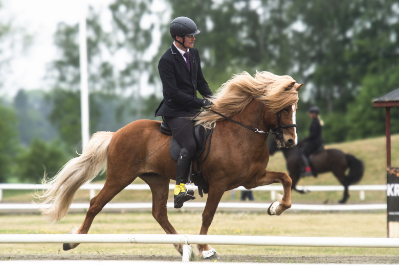”Man får ha ett slutmål med formtopp när det faller in”