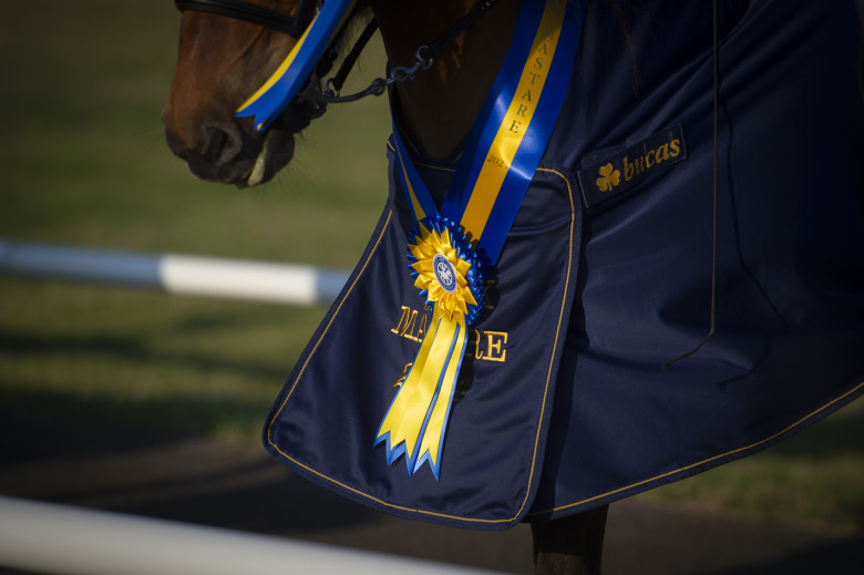 SM: Fullmatad fredag på Himmelstalund