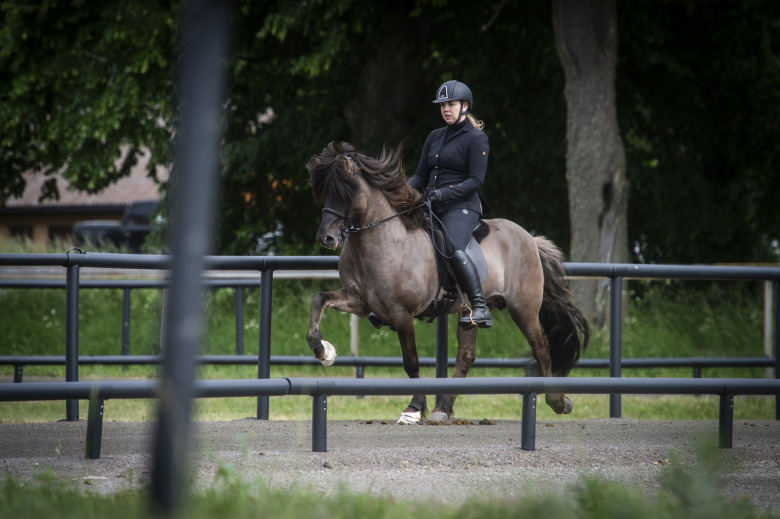 Katie Sundin Brumpton om beslutet att avstå VM: ”Inte värt att ta den risken”